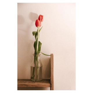 Wallpaper Food Still Life Photographers In Rotterdam Netherlands On Instagram HD