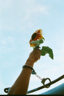 A hand in handcuffs holds a sunflower against a light blue sky in a symbol of hope and freedom.