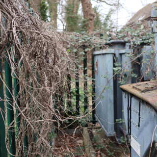 An old, weathered electrical transformer is covered in vines in an overgrown outdoor setting.