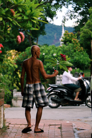 A man walking on a street holding plumeria flowers with a motorcycle in the background.