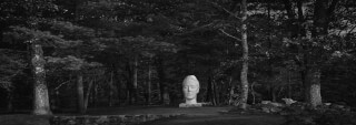 Monochrome image of a stone head sculpture in a forest, creating a serene and artistic atmosphere.