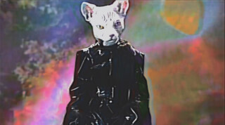 A surreal digital artwork featuring an anthropomorphic cat character against an abstract background.