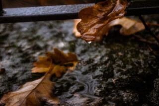 A close-up captures autumn leaves and a water drop, reflecting the serene beauty of nature's seasonal change.