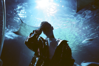 A man poses with stingrays swimming in the background at an aquarium.