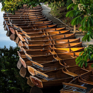 A row of vintage wooden rowboats sit docked on a calm lake shore under the sunlight.