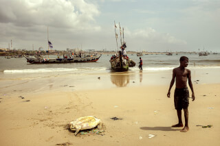 A boy stands on a sandy beach with boats and people in the background, plus a dead turtle in the foreground.