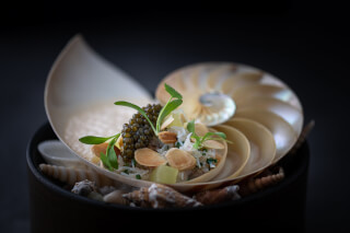 A visually stunning dish featuring caviar and seafood served in a nautilus shell, exuding luxury and sophistication.