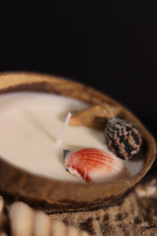 A calming coconut bowl candle adorned with seashells, perfect for creating a tranquil ambiance.