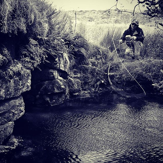 browntrout dartmoor fallonsangler fujixseries landscapephotography riverdart superflyguy wildtrout