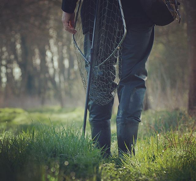 chalkstream dryflyfishing english englishecentric thames traditionalfishing wildtrout www