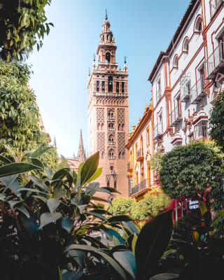 The Giralda tower rises above Seville's skyline, framed by trees and historic buildings in a vibrant urban scene.