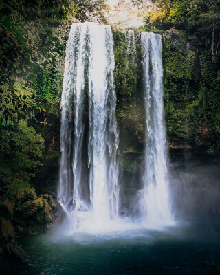 A lush tropical waterfall cascades into a pool, surrounded by vibrant green foliage and vegetation.