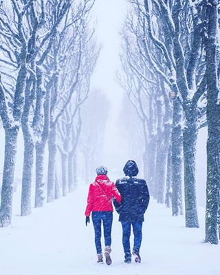 Sreesailam Pasupula Conceptual Advertising Photographer Visual artist🍎 photographer 📸 🦋 india🌐 ©all images are subject to.